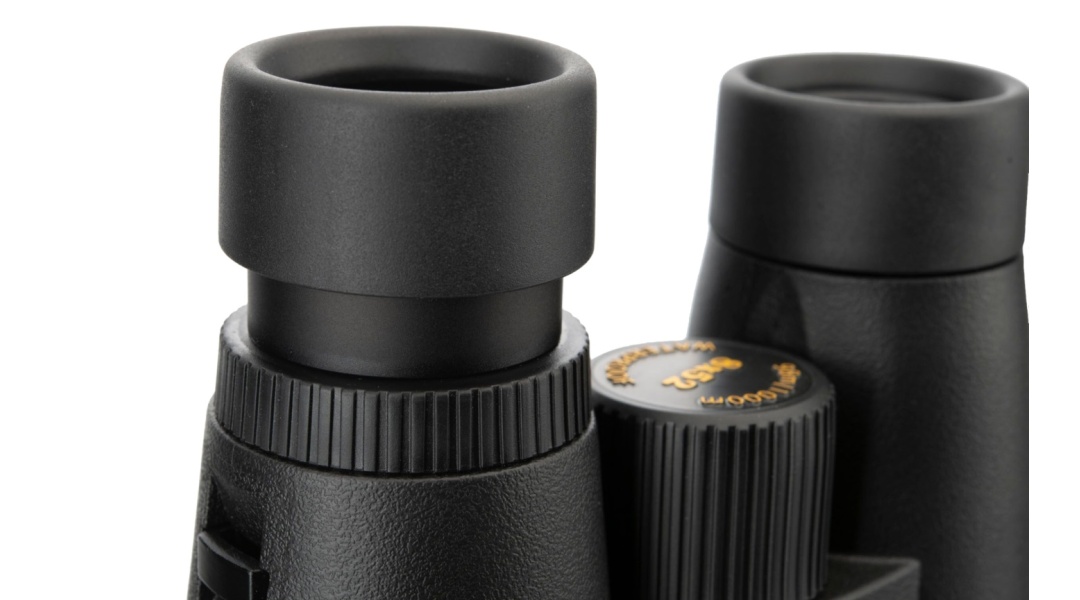 dalekohlad foreman T1